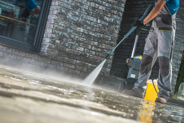 Animal Enclosure Cleaning in Logan, WV